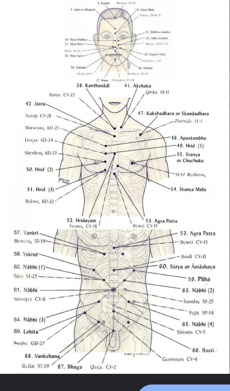 Massage Ayurvédique (Abhyanga)